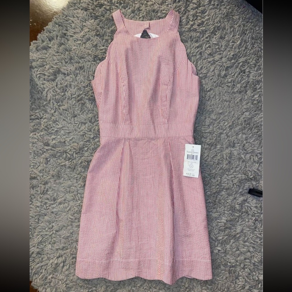 Lauren James Candy Stripe Dress